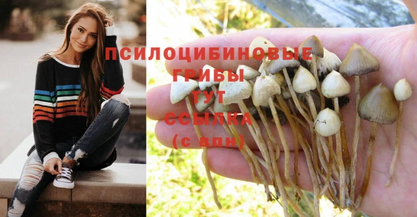 винт Беломорск