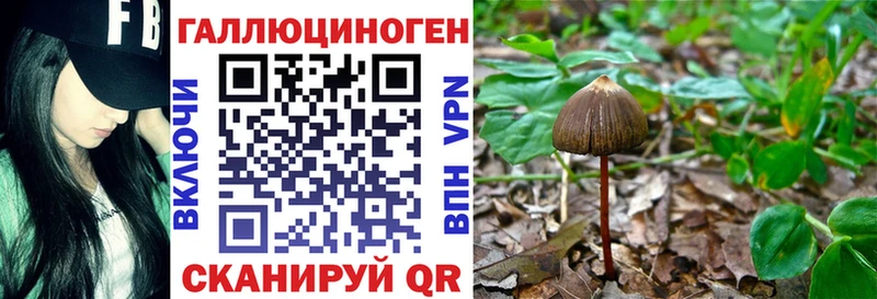 omg Вольск Псилоцибиновые грибы мицелий