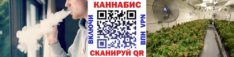 Каннабис гибрид  Вольск 